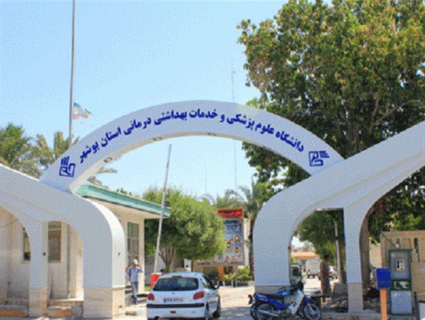 رایزنی اصلاح طلبان برای ایجاد خانه امن در بدنه بهداشت و درمان بوشهر