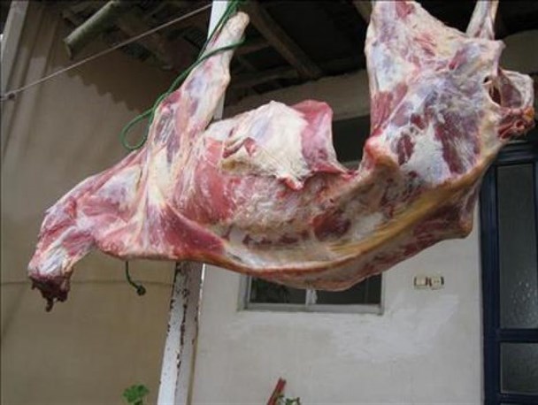 امحاء یک لاشه دام غیر مجاز در سیاهکل
