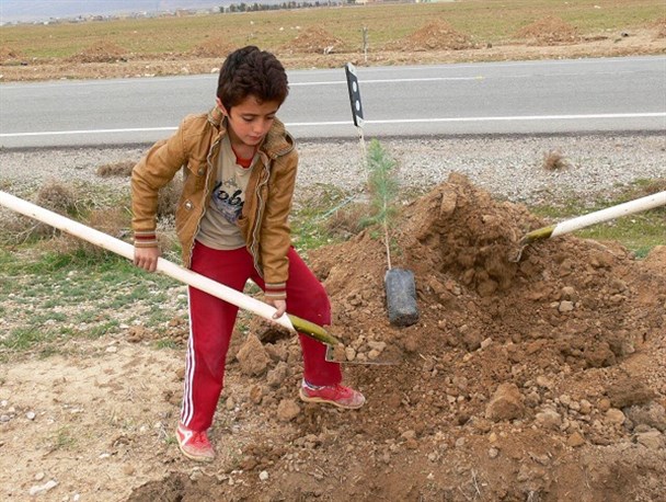 کاشت نهال در هفته درختکاری