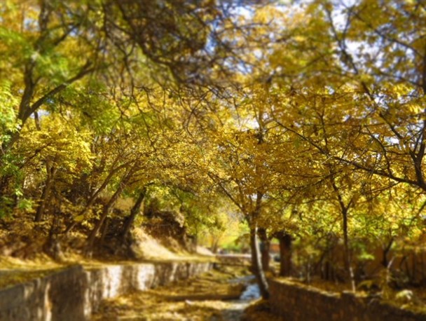 ایجاد محور گردشگری سمنان-شهمیرزاد؛ طرحی فراموش شده!