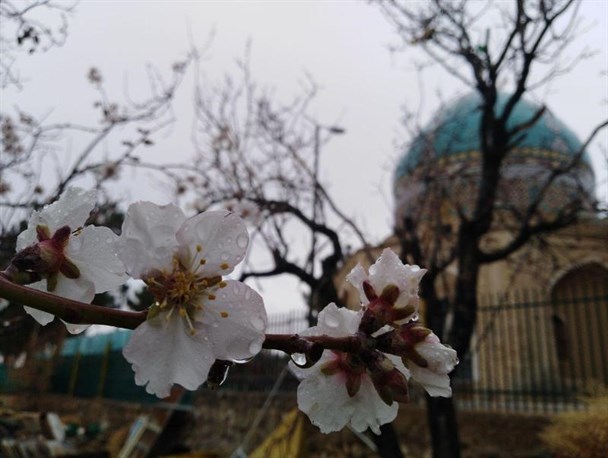 بارش باران در زمستان به هوای نراق لطافت بهاری بخشید+تصاویر