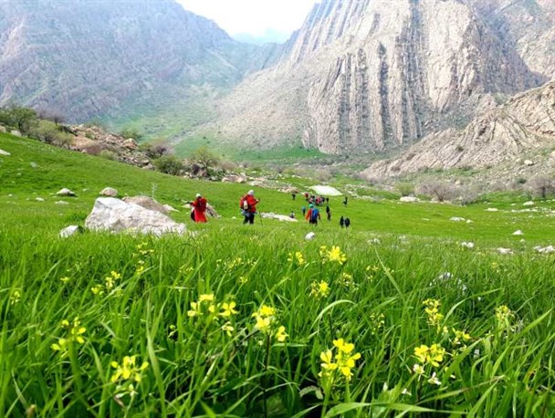 تصاویری زیبای بهاری از منطقه نارک امامزاده جعفر گچساران+تصاویر