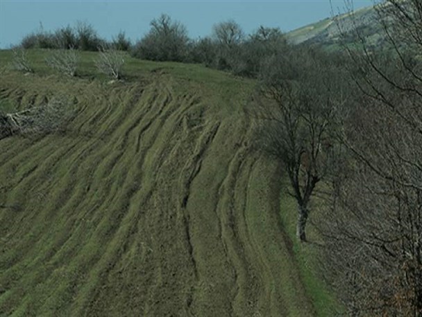 رفع تصرف ۲۱۰۰۰ مترمربع از اراضی ملی در گلوگاه+تصاویر