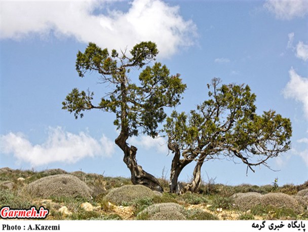 منطقه خمبی گرمه به روایت تصویر