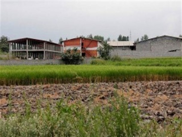 استخدام 600 ناظر برای مقابله با تغییر کاربری اراضی کشاورزی در مازندران