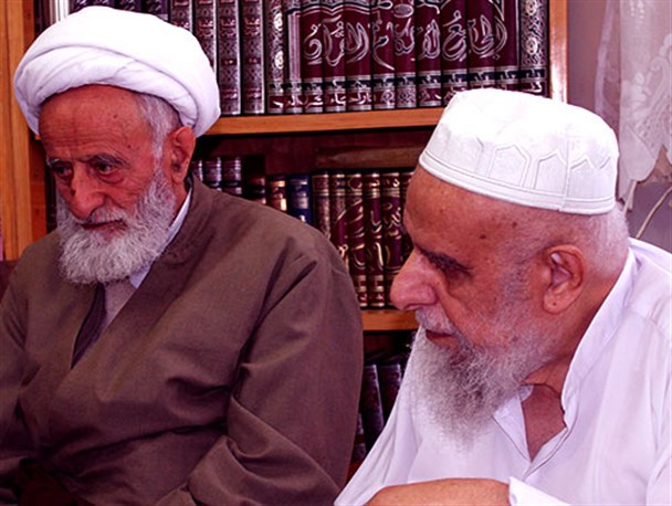 آیت‌الله فیض با آیت‌الله امینیان دیدار کرد+تصاویر