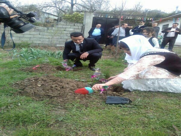 کاشت نهال به جای ذبح گوسفنددر جشن عروسی در اسالم تالش