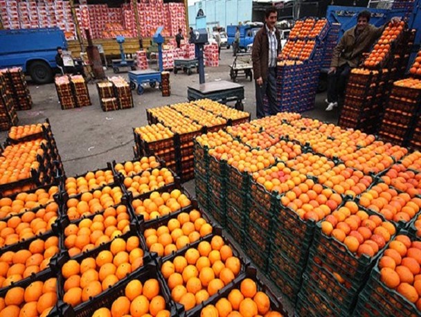 توزیع و فروش بیش از ۸۱۲ تن سیب و پرتقال در مشهد