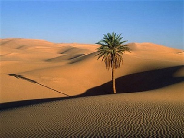 ۴۶ سال بیابان زدایی در آران و بیدگل/ بررسی نهایی طرح‌های نوین بیابان زدایی در حال انجام است