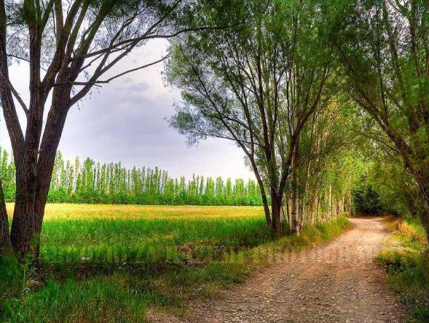 تصاویری زیبا از جاذبه های گردشگری شهرستان خرمدره