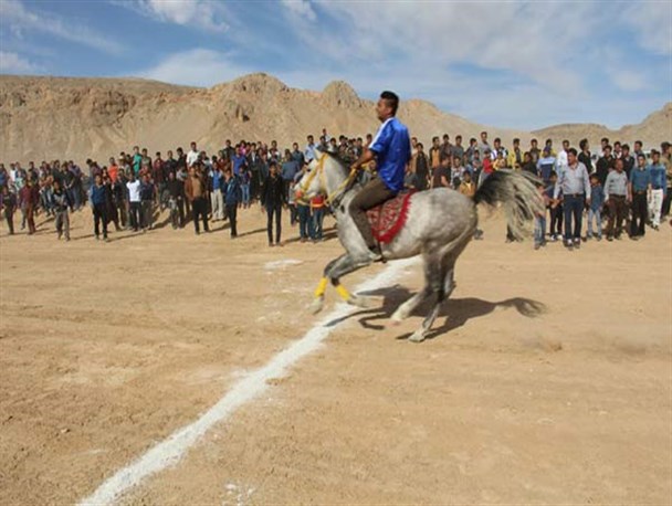 نتیجه مسابقه سوارکاری کورس بهاره ابرکوه + عکس و اسامی برتر