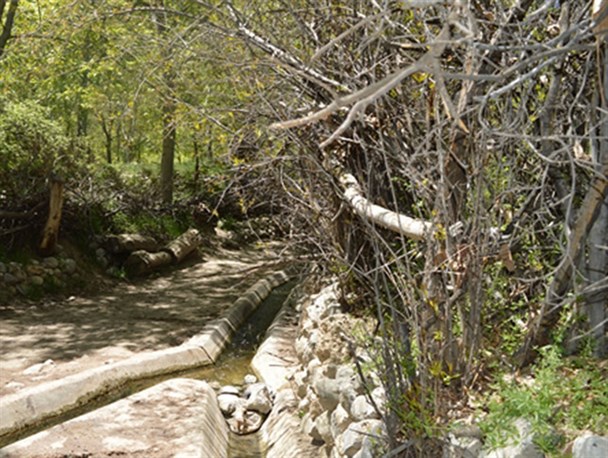 عکس/  طبیعت روستای دشتک مرودشت؛ جاذبه ای که مسافران را به سمت خود می کشد