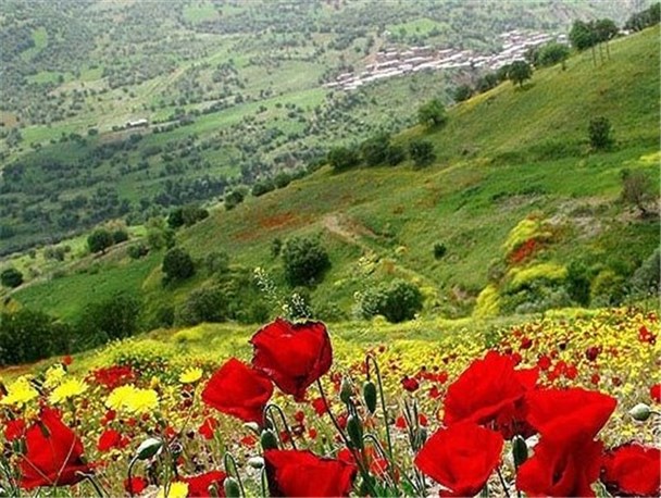 طبیعت سحر انگیز بهاری کهگیلویه و بویراحمد در یک نگاه/پایتخت طبیعت ایران بهشت ناشناخته