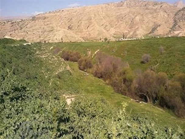 طبیعت چهار فصل را در دره"تل بابونه"مشاهده کنید+تصاویر