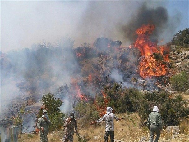 آتش سوزی در 5هزار متر مربع جنگل شهرستان جم/ آتش مهار شد