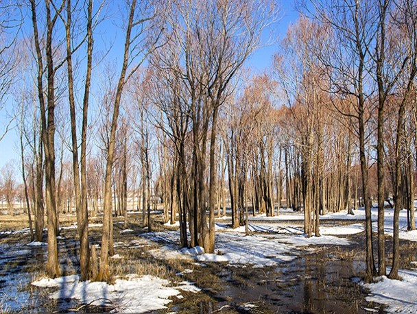 رد پای بهار در روستای الخلج بستان آباد آذربایجان شرقی
