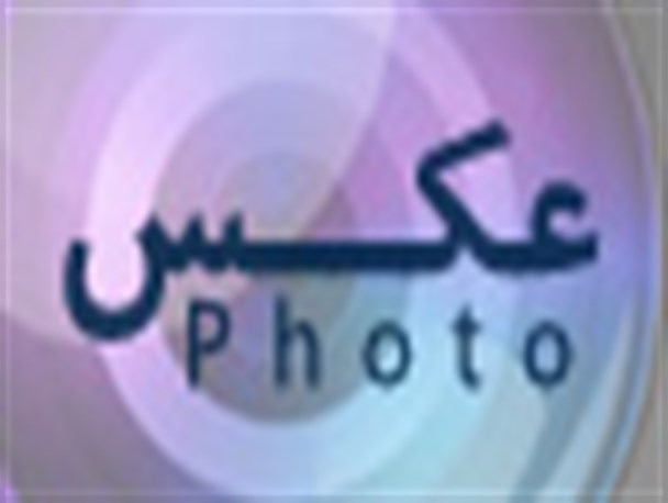 عکس/ رئیس مجلس شورای اسلامی در طبس
