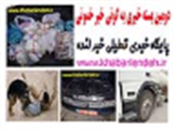 از تأثیرگذاری بسته خبری در کمتر از 24 ساعت تا حمله سگ نگهبان به ارباب رجوع