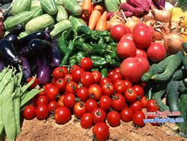 ۴۲ هزار هکتار از اراضی کشاورزی میزبان محصولات بهاره