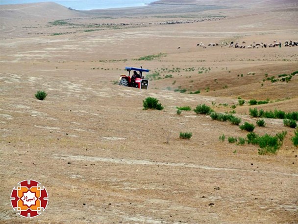 سم پاشی بیش از 4000 هکتار از اراضی شهرستان آق قلا