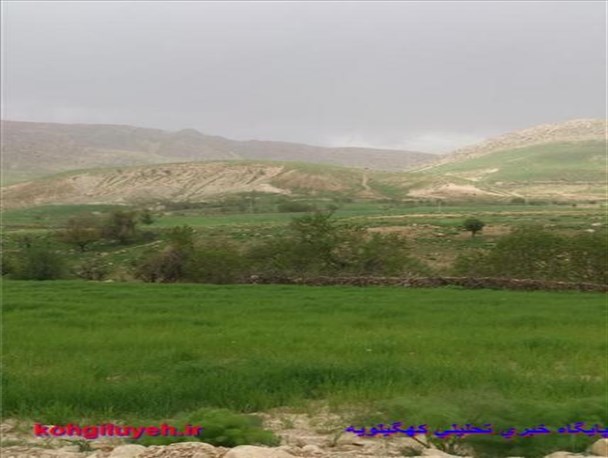 گوشه‌ای از طبیعت زیبا و رویایی دیشموک در فصل بهار+تصاویر