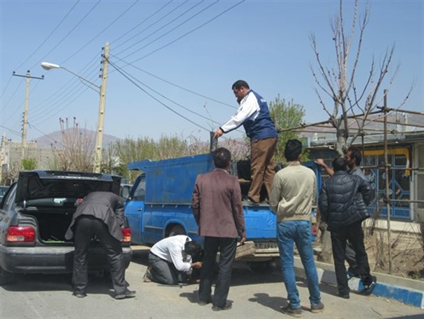 ۲۵ هزار اصله نهال پسته در ماهنشان توزیع شد/ماهنشان پتانسیل های خوبی برای ارتقا اقتصاد دارد