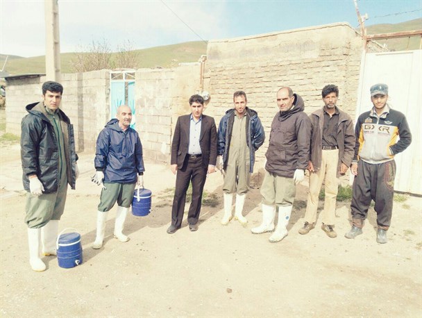 واکسیناسیون ۱۸۰ هزار دام علیه بیماری آبله در اسدآباد