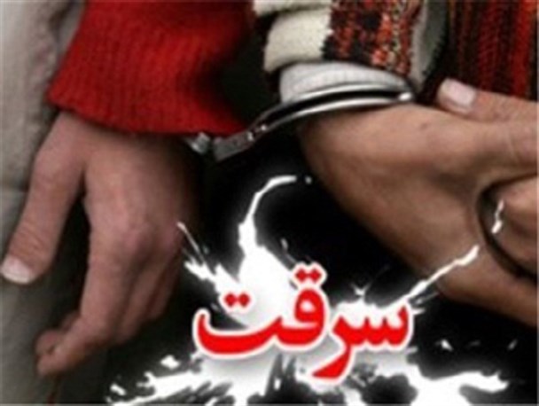 سامانه "مها" سارق مدرسه را ناکام گذاشت