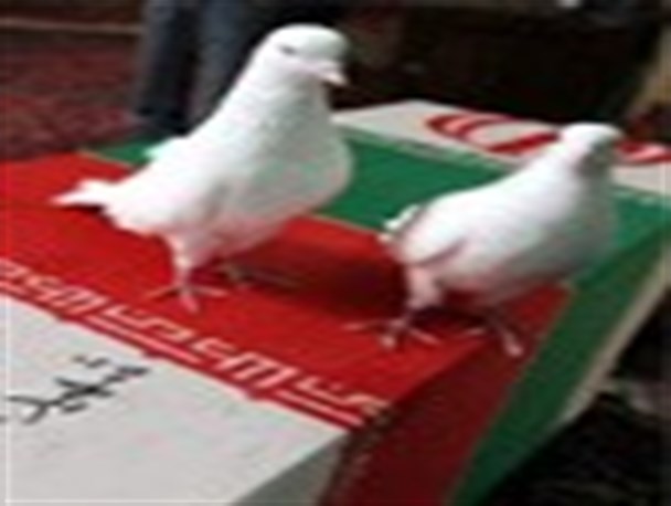 به هم رسیدن2 برادر شهید+عکس