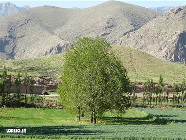 تصاویری دیدنی از مناظر طبیعی الشتر