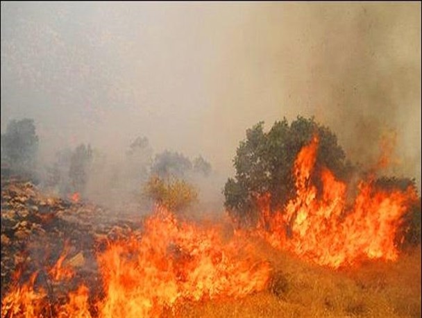 بالغ بر 30 هکتار از جنگل و مراتع کوه کچل و قلاجه گیلانغرب طعمه حریق شد