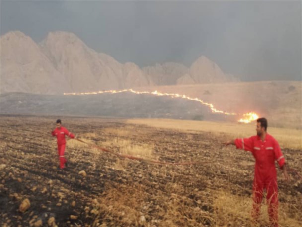 آتش سوزی گسترده در روستای خنگ بنار گچساران/70هکتار از مزارع روستاییان طعمه حریق شد+تصاویر
