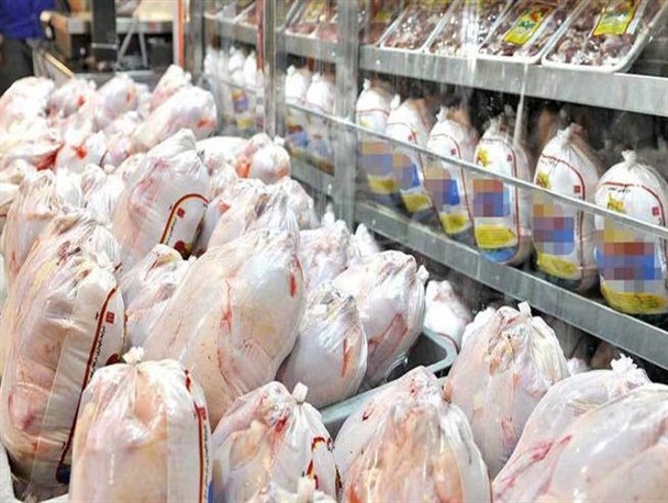 خریداران منتظر افزایش موقت قیمت مرغ باشند