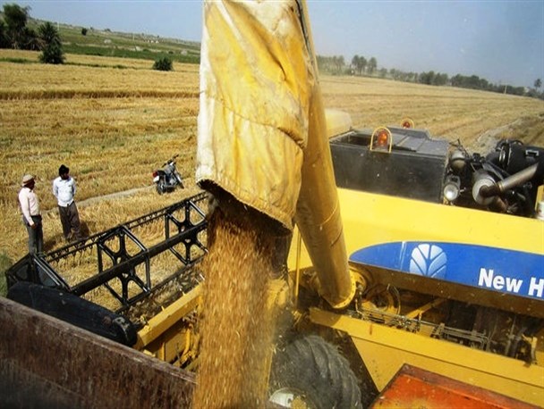 نقدینگی مشکل اصلی تعاونی های رو ستایست/۳۴ هزار تن گندم از کشاورزان خریداری شده