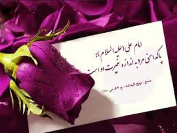 بحث غیرت مردانه در حفاظت از زنها عامل تعیین کننده است/مرد با غیرت در پوشش همسر و دخترانش مواظبت دارد