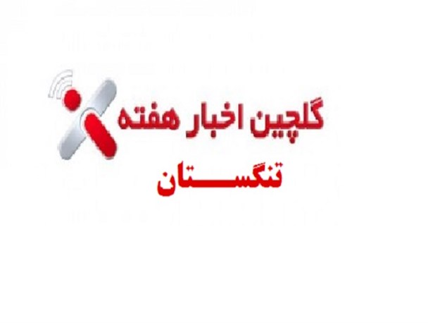 درگیری های سیاسی سودی برای تنگستان ندارد/ بازی بازیاری برای آبی های خوزستان/مرغ بر بام گرانی