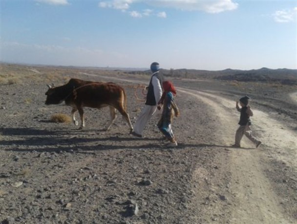 روستای شوگه خاش محلی برای تولید و اشتغال؛ اما محروم از خدمات دولت/ مسئولان صدای کودکان این روستا را نمی‌شنوند