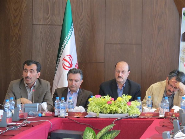 بانه ظرفیت مونتاژ کالاهای وارداتی از چین را دارد