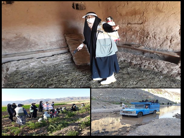 اردوی جهادی بانوان بسیجی گلبهار در روستای پس‌پشته+تصاویر