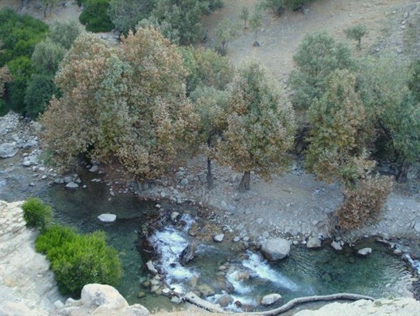 تصاویری از "تنگ تهی" یکی سرشاخه های فصلی "رود زرد"