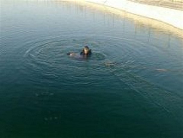 غرق شدن جوان ۳۰ ساله در استخر کارخانه بتن کرکس نطنز