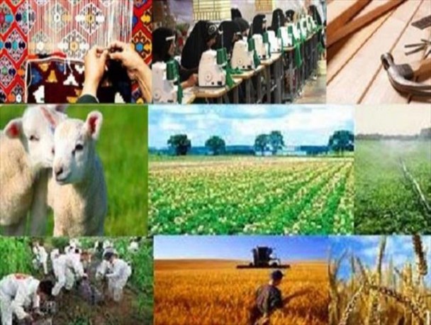اجرای طرح "رَستا" برای اولین‌بار در قزوین/ پس از ۳۵سال موفق به تولید گندم و عسل و پرورش دام در روستاهای بایر شدیم