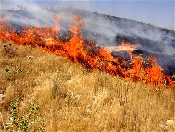 ۳۶۷هکتار مزارع کشاورزی استان در سال جاری طعمه حریق شد