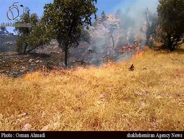 آتش سوزی مراتع و جنگل های روستای گاری خاموش مهار شد
