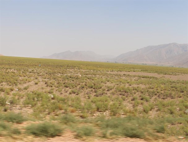 شوربختی دومین دریاچه شیرین کشور؛ «کافتر» به چراگاه دام تبدیل شد + تصاویر