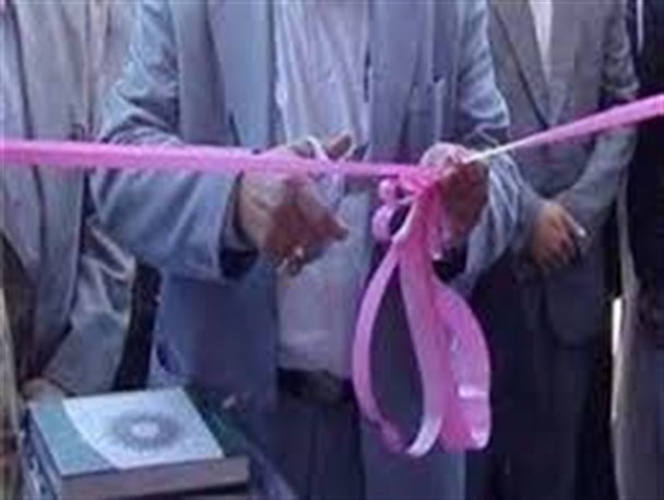 ۳ طرح صنعتی همزمان با هفته دولت در مهرستان افتتاح شد