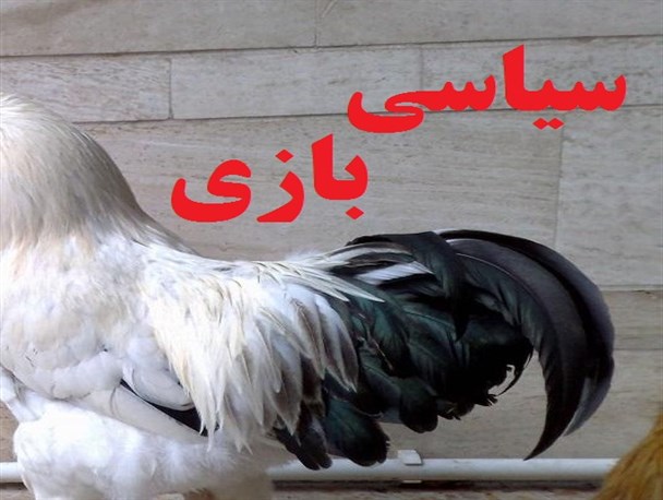 دم خروسی که در اجرای قانون توسط مسئولین بیرون میزند