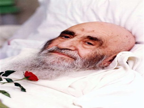عالِمی که کبوتر حرم حضرت معصومه‌(س) بودند!