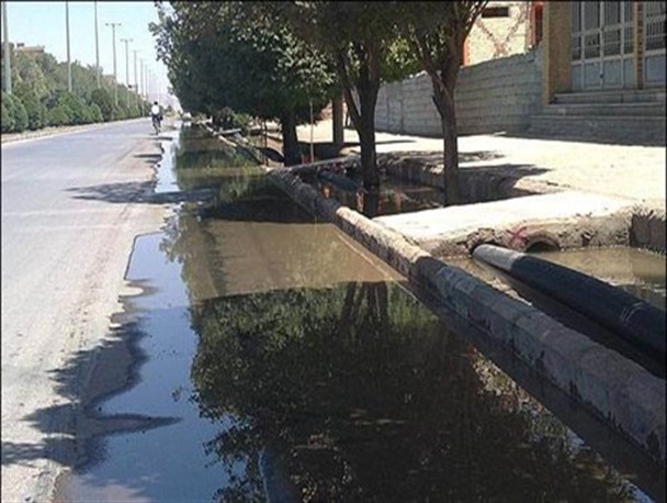 بستن جوی ها؛ زمینه ساز پرورش موش ها و خشکی درختان/ اجرای رینگ دوم شبکه هدایت آب های سطحی ضروری است