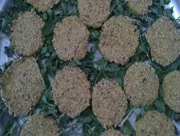 اواخر تابستان زمان تهیه "ترخینه" در شهرستان ملکشاهی